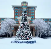 Lansdowne Resort and Spa hotel detail image 4