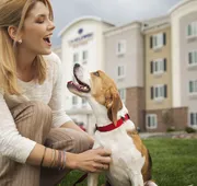 Candlewood Suites San Antonio Airport by IHG hotel detail image 5