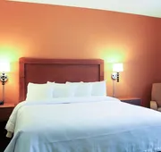 MainStay Suites Tioga hotel detail image 7
