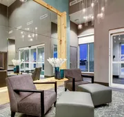 Holiday Inn & Suites Peoria At Grand Prairie by IHG hotel detail image 3