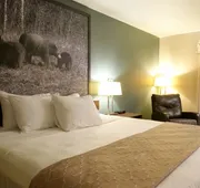 Super 8 by Wyndham Dauphin hotel detail image 4