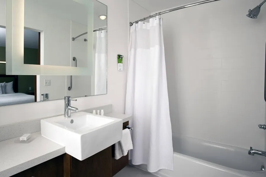 Springhill Suites Mobile hotel detail image 6