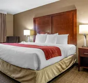 Comfort Inn & Suites Leeds I-20 hotel detail image 3