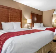 Comfort Inn & Suites Leeds I-20 hotel detail image 5