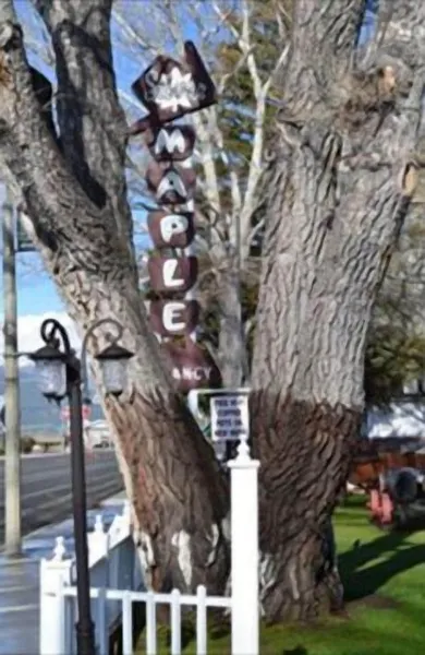 Silver Maple Inn hotel detail image 2