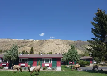Yellowstone Gateway Inn hotel thumbnail 5