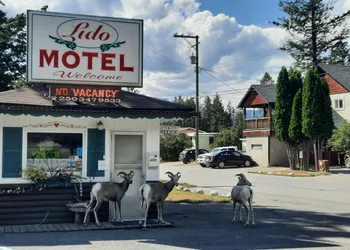 Lido Motel hotel thumbnail 5