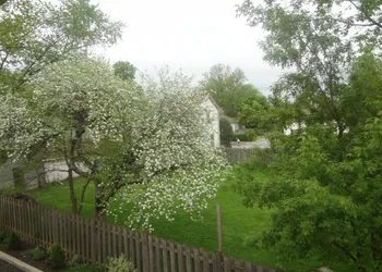 Two Rivers Bed and Breakfast hotel thumbnail 6