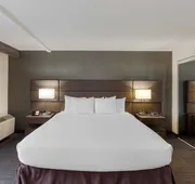 Best Western Plus Toronto Airport Hotel hotel detail image 7