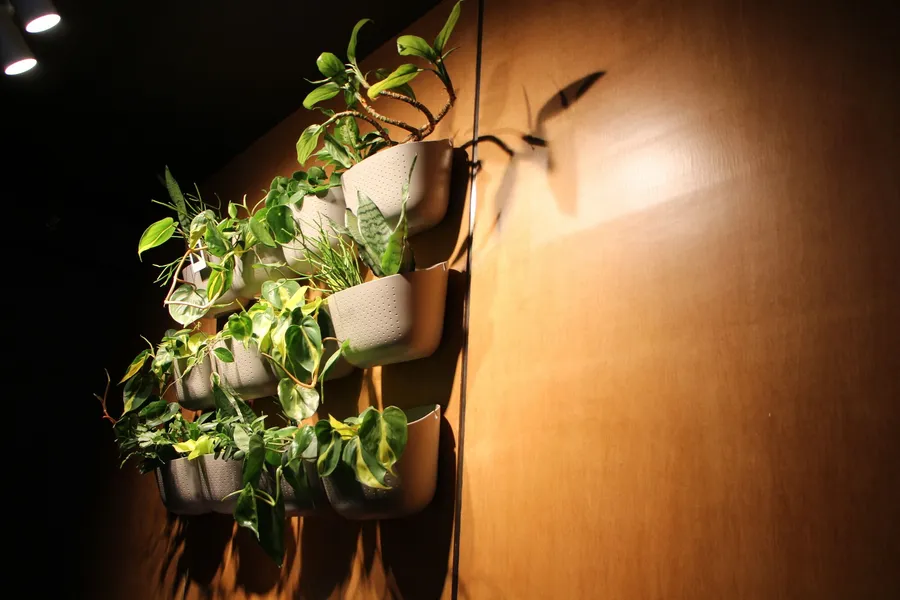 The Larix Hotel hotel detail image 6