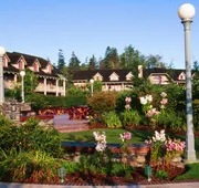 Painter's Lodge hotel detail image 4