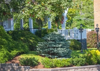 Telegraph House hotel thumbnail 4