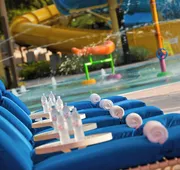 Renaissance Orlando at SeaWorld hotel detail image 7