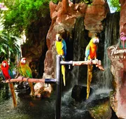 Flamingo Las Vegas Hotel & Casino hotel detail image 3