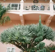 La Valencia Hotel hotel detail image 4