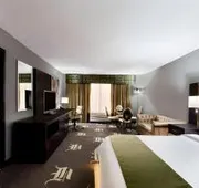 Wyndham Garden Dallas North hotel detail image 4