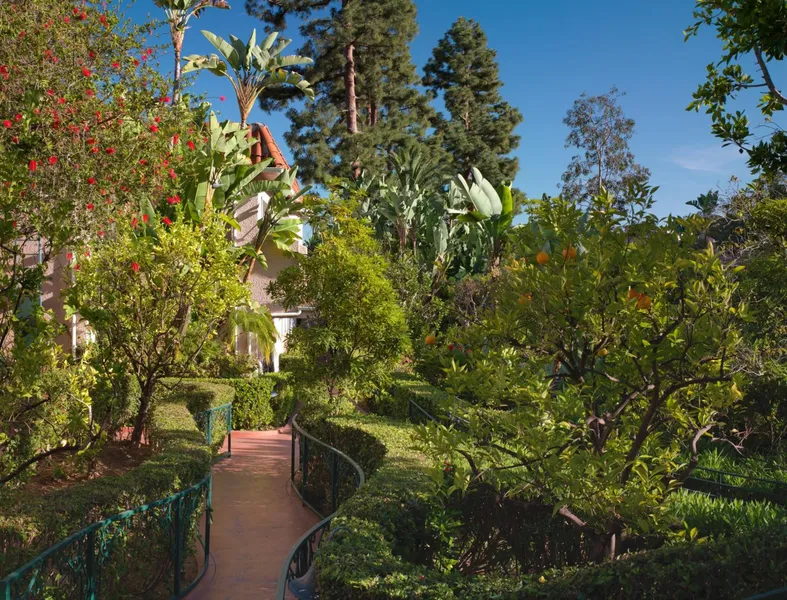 The Beverly Hills Hotel hotel detail image 6