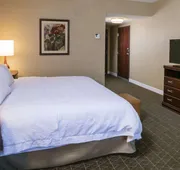 Hampton Inn & Suites Toledo-Perrysburg hotel detail image 7