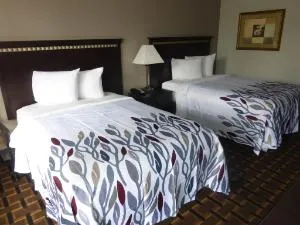 Red Roof Inn Evergreen hotel thumbnail 2