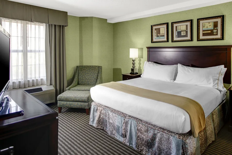Holiday Inn Express & Suites Atlanta Buckhead by IHG hotel detail image 6