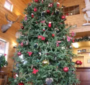 Range Country Lodging hotel detail image 4