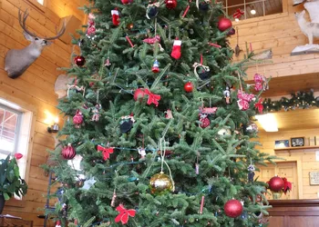 Range Country Lodging hotel thumbnail 4
