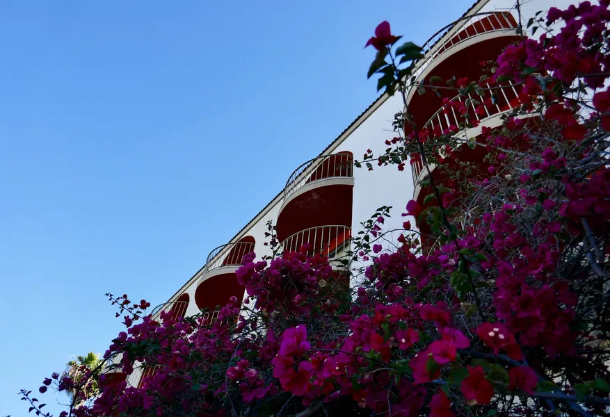 Golden Sails Hotel hotel detail image 6