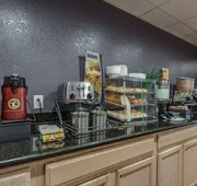 Microtel Inn & Suites By Wyndham Oklahoma City Airport hotel detail image 5
