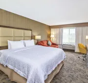 Hampton Inn Hotel Detroit/Belleville-Airport Area hotel detail image 7