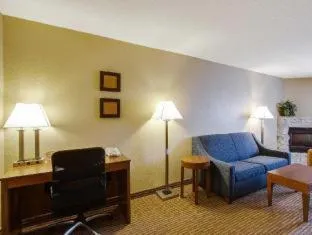 Comfort Inn & Suites Bellevue - Omaha Offutt AFB hotel detail image 2
