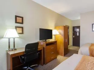 Comfort Inn & Suites Bellevue - Omaha Offutt AFB hotel detail image 6