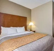 Comfort Inn & Suites Bellevue - Omaha Offutt AFB hotel detail image 7