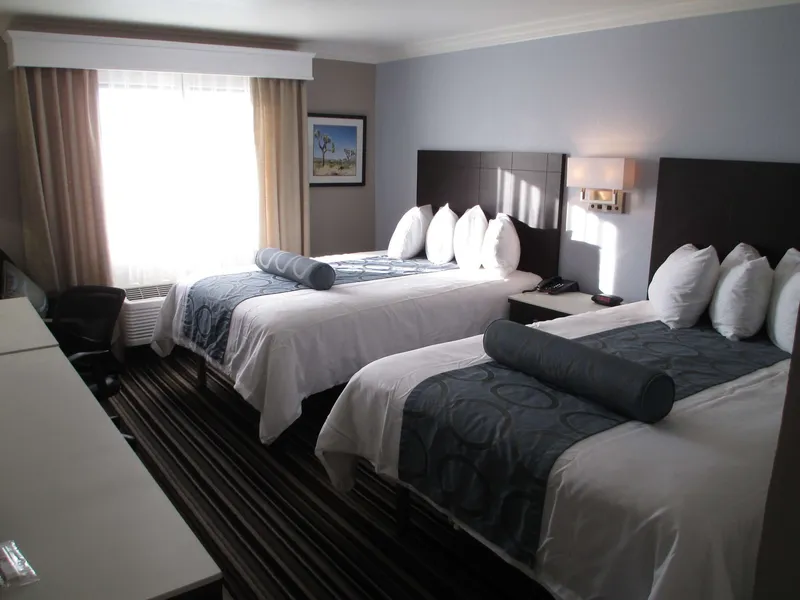 Best Western Plus Diamond Valley Inn hotel detail image 6