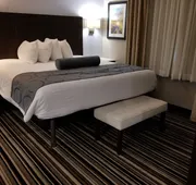 Best Western Plus Diamond Valley Inn hotel detail image 7