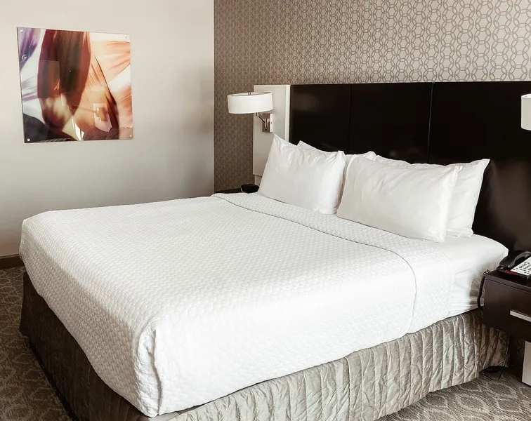 Crowne Plaza Chicago SW - Burr Ridge by IHG hotel detail image 6