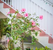 Shore Haven Resort Inn hotel detail image 3