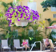 Inn at the Beach hotel detail image 7