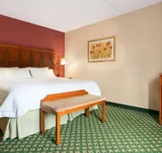 Hampton Inn & Suites Williamsburg-Central hotel detail image 7