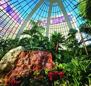 The Mirage Hotel & Casino hotel detail image 4