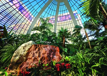 The Mirage Hotel & Casino hotel thumbnail 4