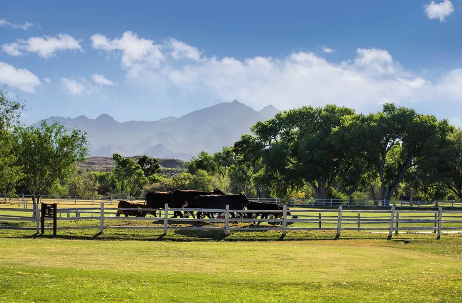 Tubac Golf Resort & Spa hotel detail image 2