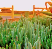 Captain's Inn at Moss Landing hotel detail image 7