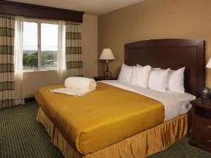 Homewood Suites By Hilton Dallas-Market Center hotel thumbnail 6