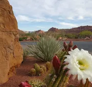 The Inn At Entrada hotel detail image 4