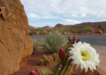 The Inn At Entrada hotel thumbnail 4