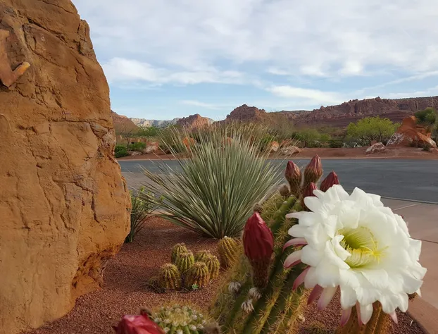 The Inn At Entrada hotel detail image 3