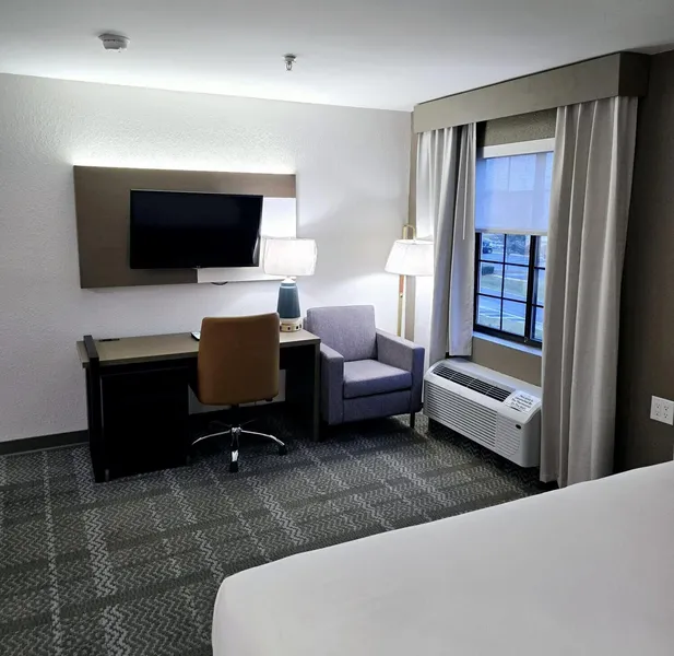 Comfort Inn & Suites Savannah Airport hotel detail image 6