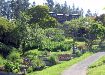 The Stanford Inn By The Sea Eco-Resort hotel thumbnail 6