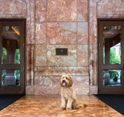 The Ritz-Carlton, St. Louis hotel detail image 4