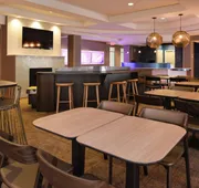 SpringHill Suites by Marriott Detroit Metro Airport Romulus hotel detail image 3